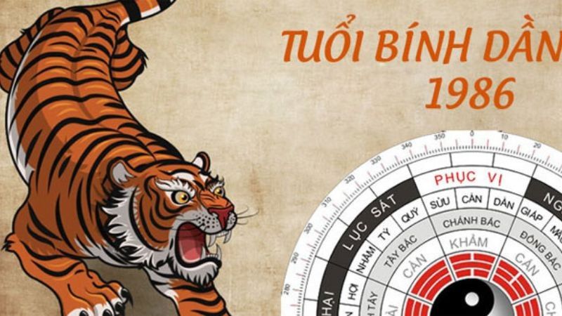 Sinh Năm 1986 Có Gì Đáng Chú Ý? Chi Tiết Tuổi Bính Dần 1986