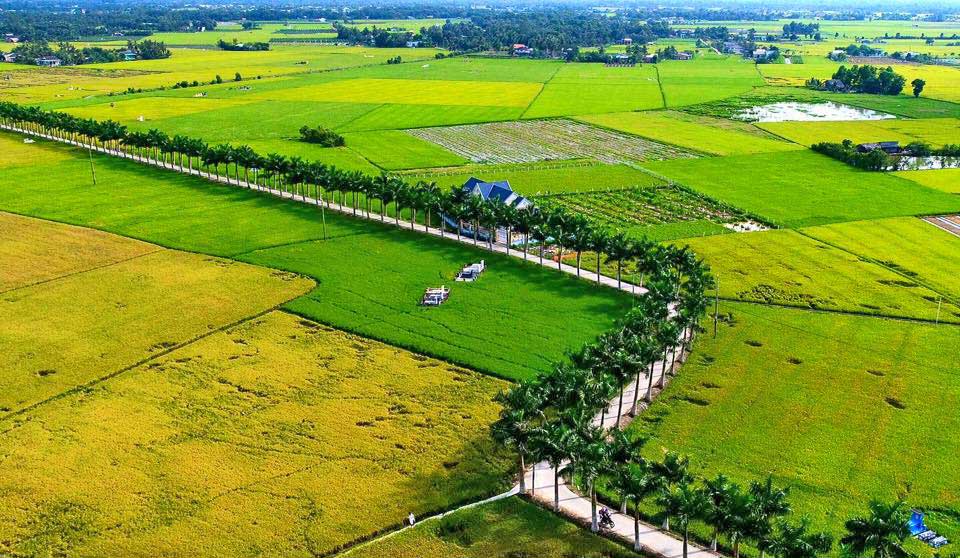 7 ý tưởng khởi nghiệp ở nông thôn