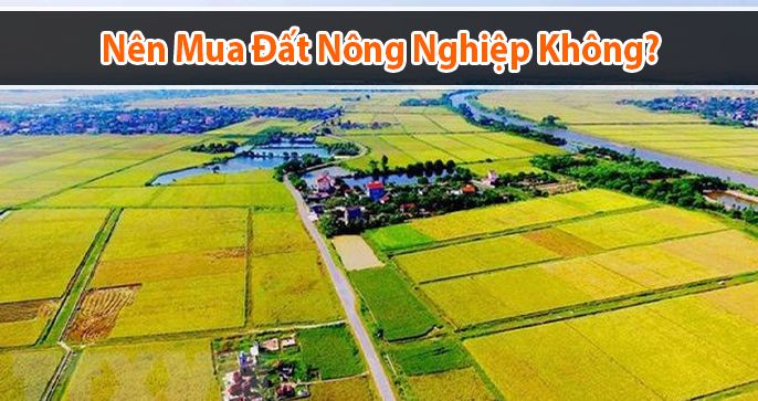 Tôi có nên mua đất nông nghiệp để xây nhà không?