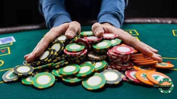 Cách Phân Loại Người Chơi Poker Theo Số Lượng Hand Và Hành Động Cược