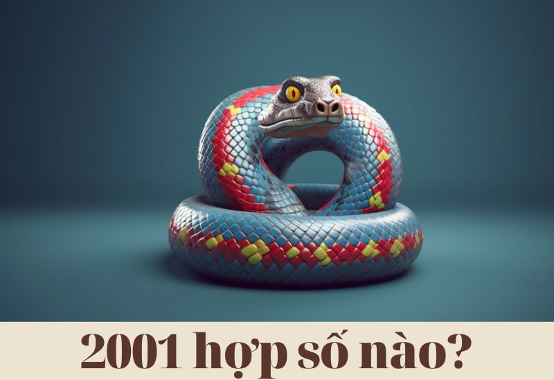 Tân Tỵ 2001 hợp số nào? Nam, nữ 2001 hợp số chẵn hay lẻ?