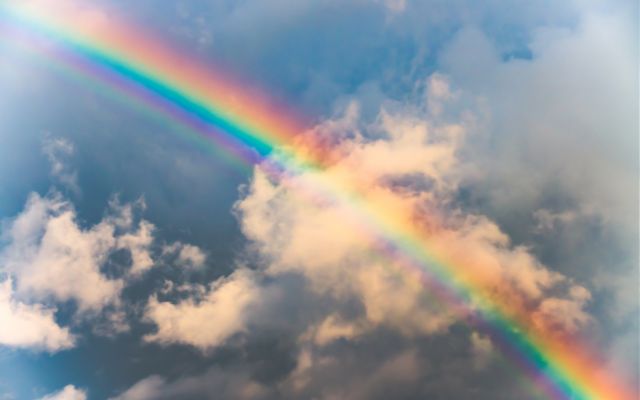 Dấu hiệu nhận biết sắp mưa - 5 cách nhận biết chính xác 99%