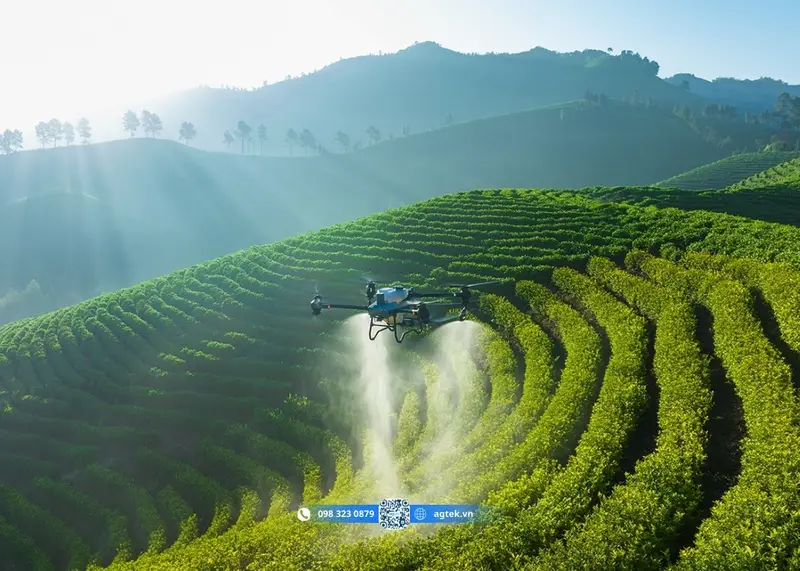 Drone ứng dụng trong nông nghiệp