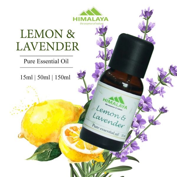 Ý nghĩa của hoa Oải Hương - Lavender